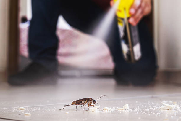 Flea Control Services in Rensselaer, IN